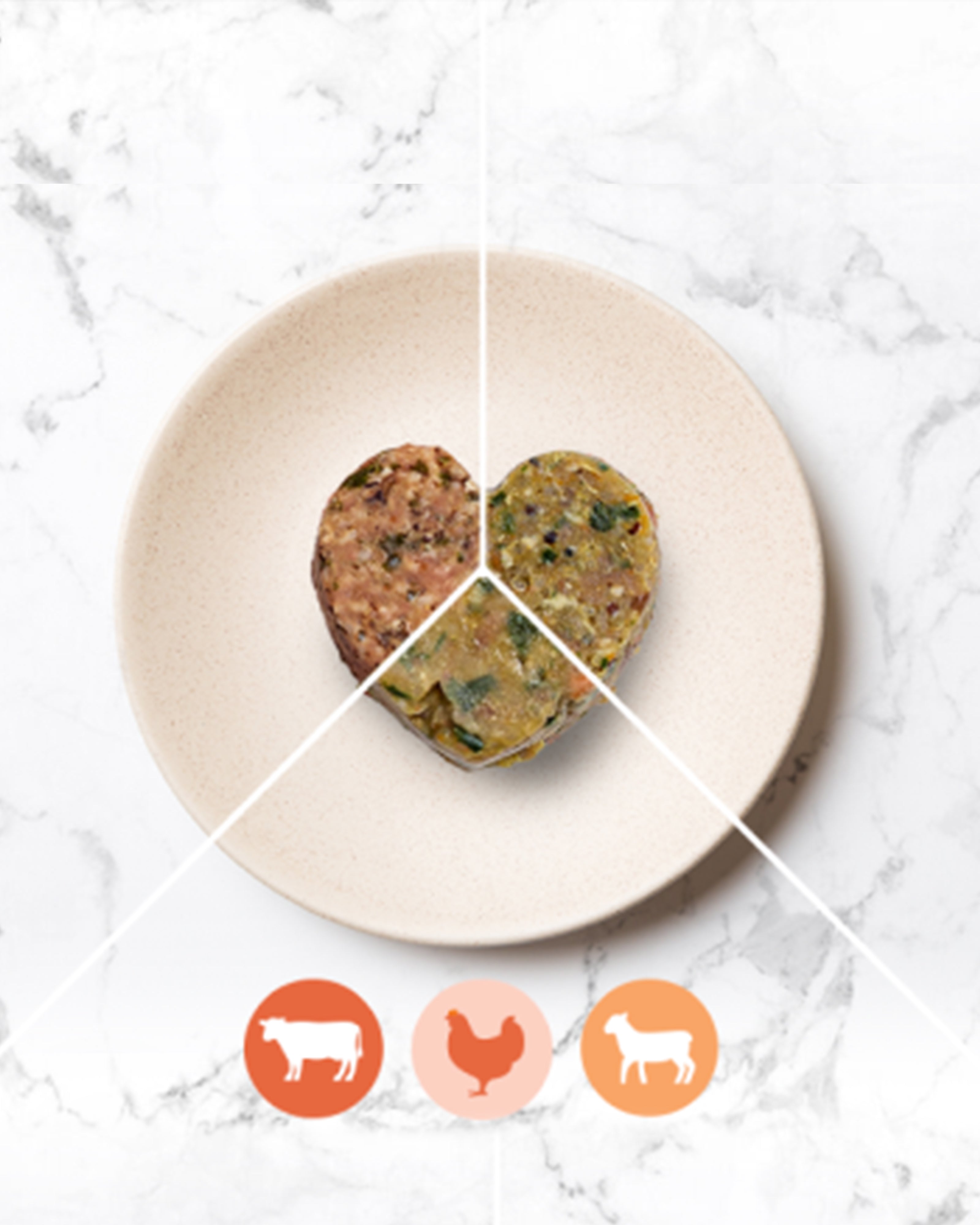 Trial Pip Eats Meals