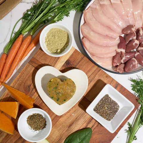 What's Really In Your Dog's Bowl? A Recipe-by-Recipe Breakdown
