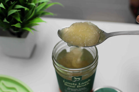 Spoonful of gelled Lovely Lamb Bone Broth showing its collagen-rich jelly set