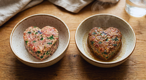 Raw vs Cooked Fresh Dog Food: Your Questions Answered