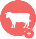Brilliant Beef