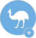 Excellent Emu