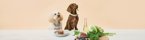 Wholefood meals for wholesome dogs