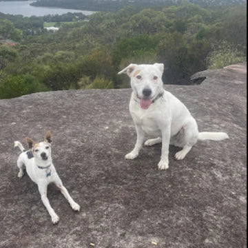Sid and Lexie
