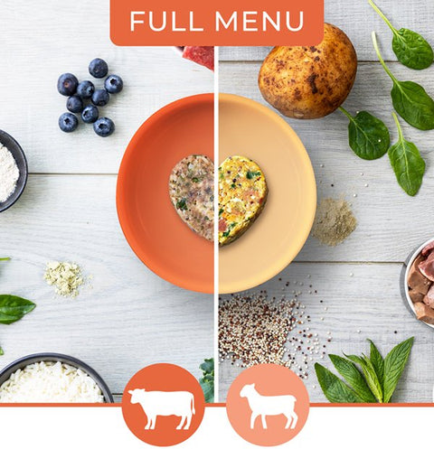 Pip Eats Beef & Lamb Full Meal Plan 225 Every 4 Weeks