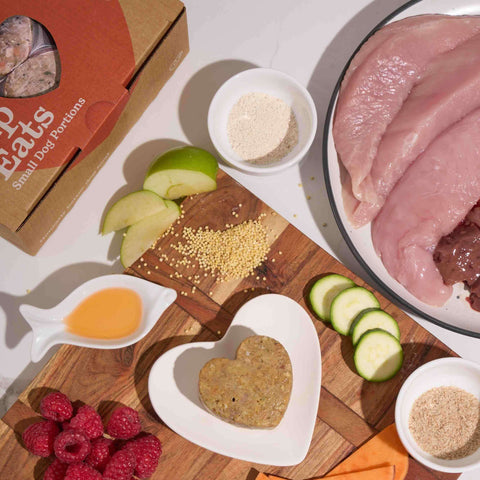 Tasty Turkey dog food ingredients — turkey, raspberries, sweet potato and zucchini — Pip Eats