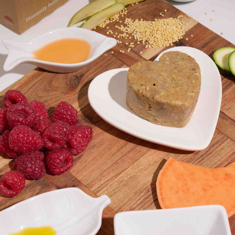 Fresh ingredients in Pip Eats Tasty Turkey dog food — raspberries, sweet potato and zucchini