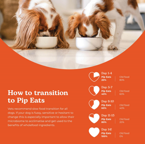 How do I transition my dog to fresh food?
