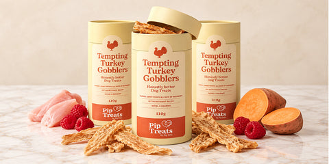 Tempting Turkey Gobblers