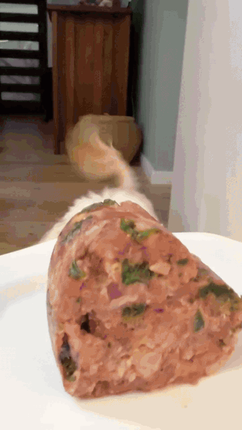 Trial Pip Eats Meals