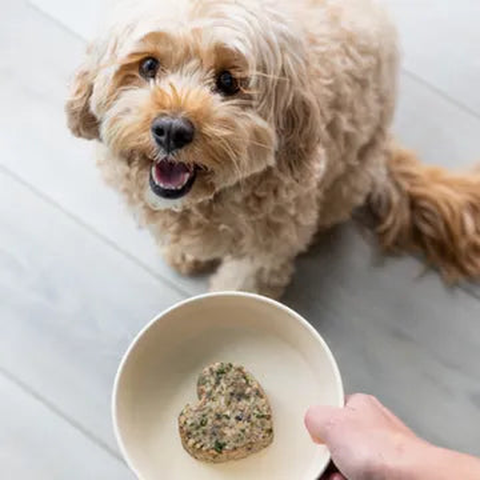 Finally, a meal your dog will actually finish.