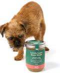 Small dog sniffing Lovely Lamb Bone Broth glass jar — Pip Eats