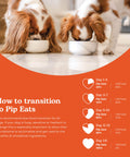 How to transition your dog to Pip Eats fresh food — 14 day guide