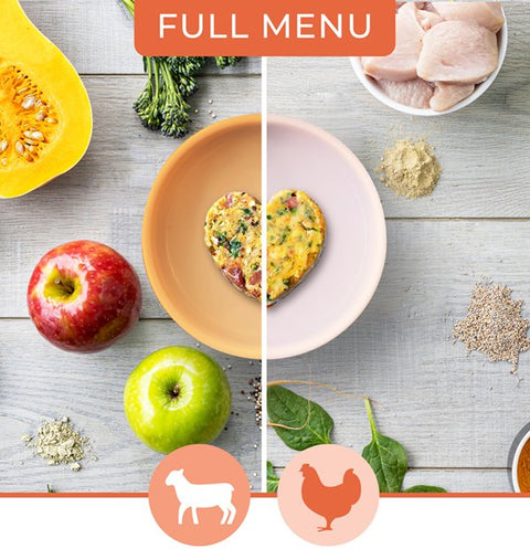 Pip Eats Chicken & Lamb Full Meal Plan 360 Every 2 Weeks